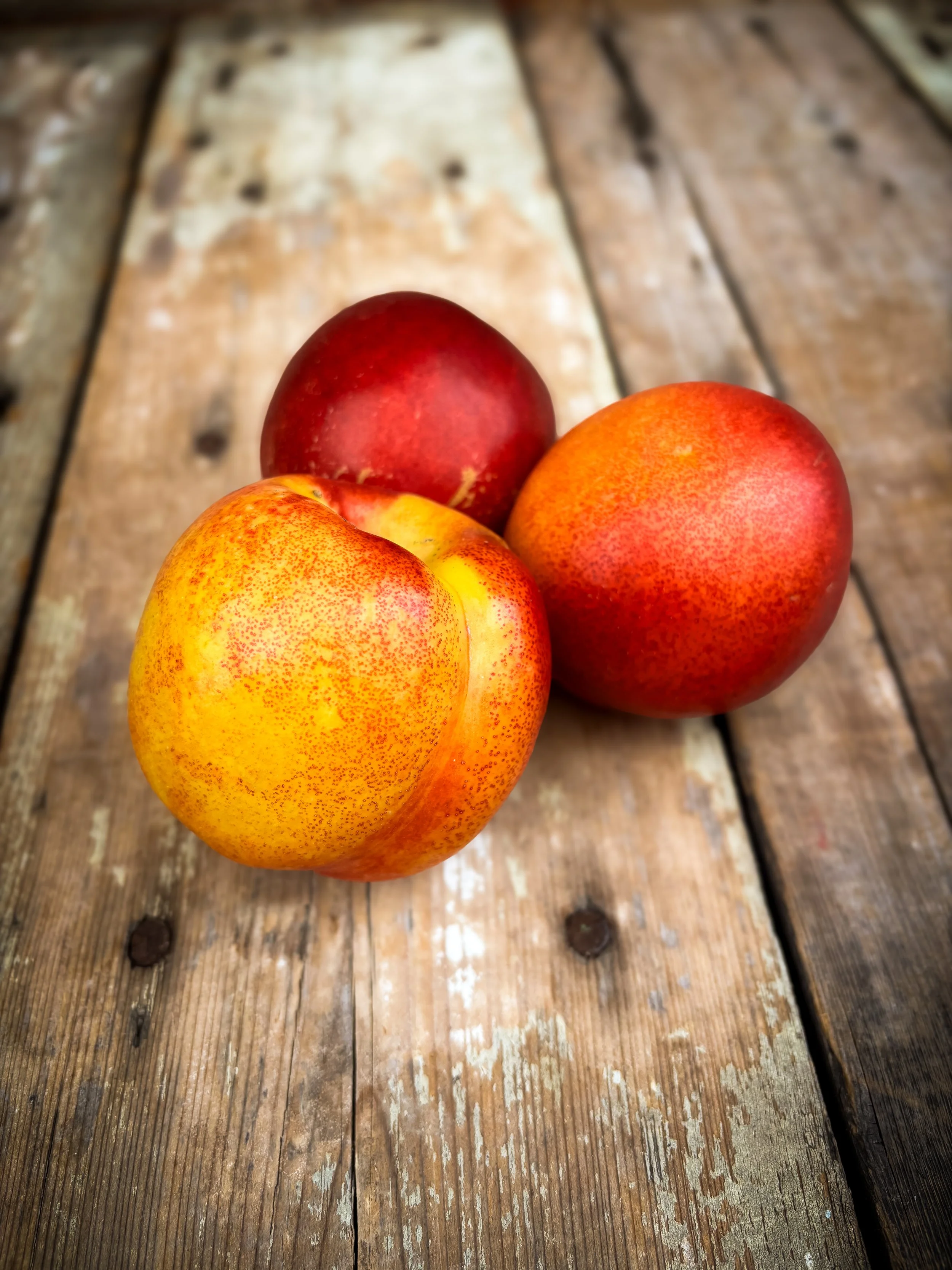 nectarines.jpg