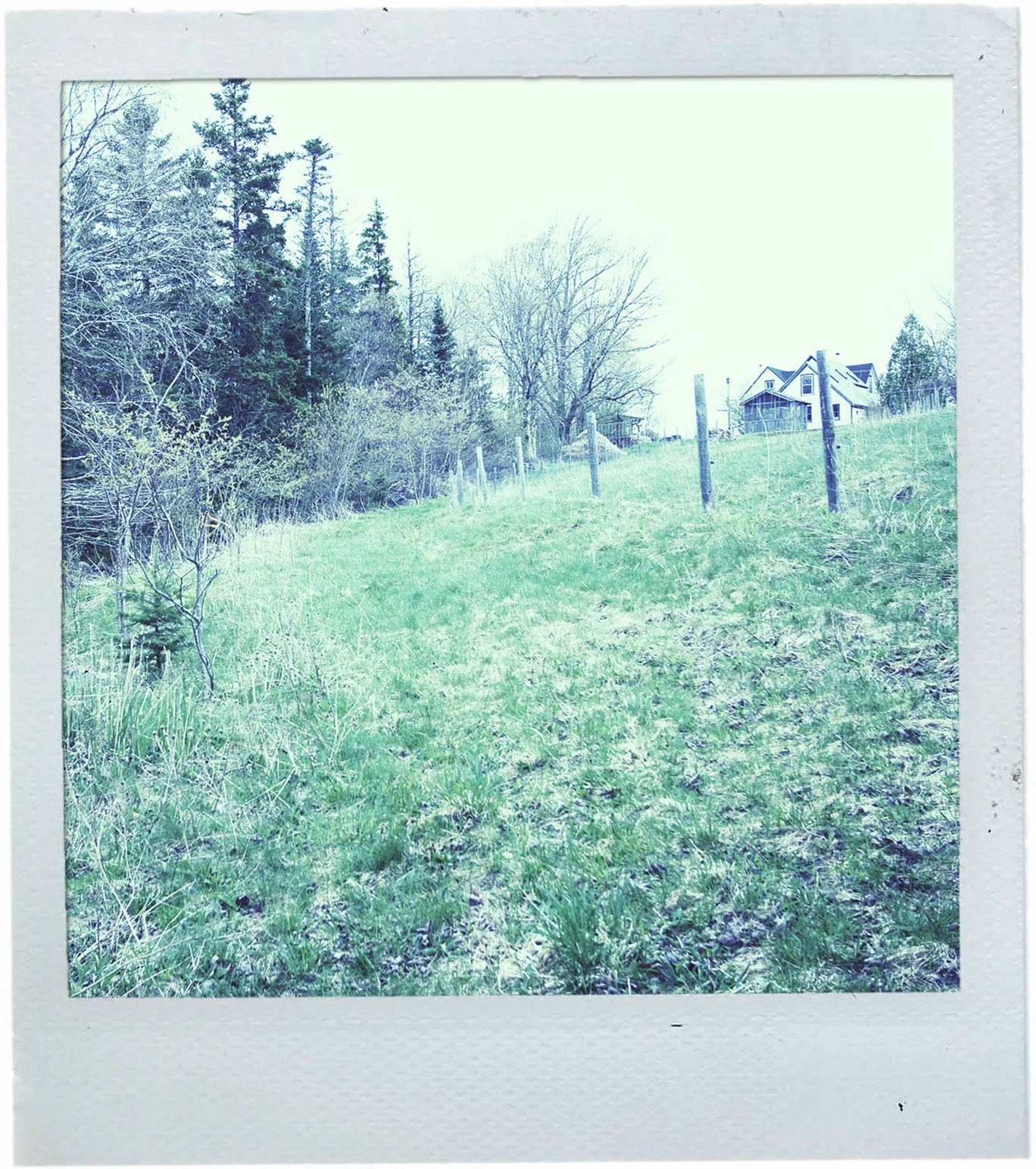 polaroid_house.jpg