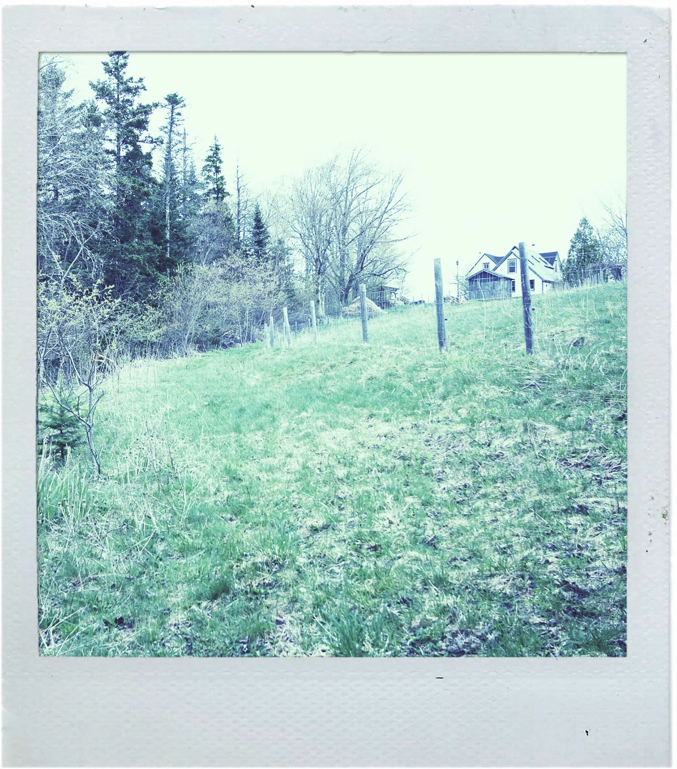 AuthorCard_Polaroid_2.jpg