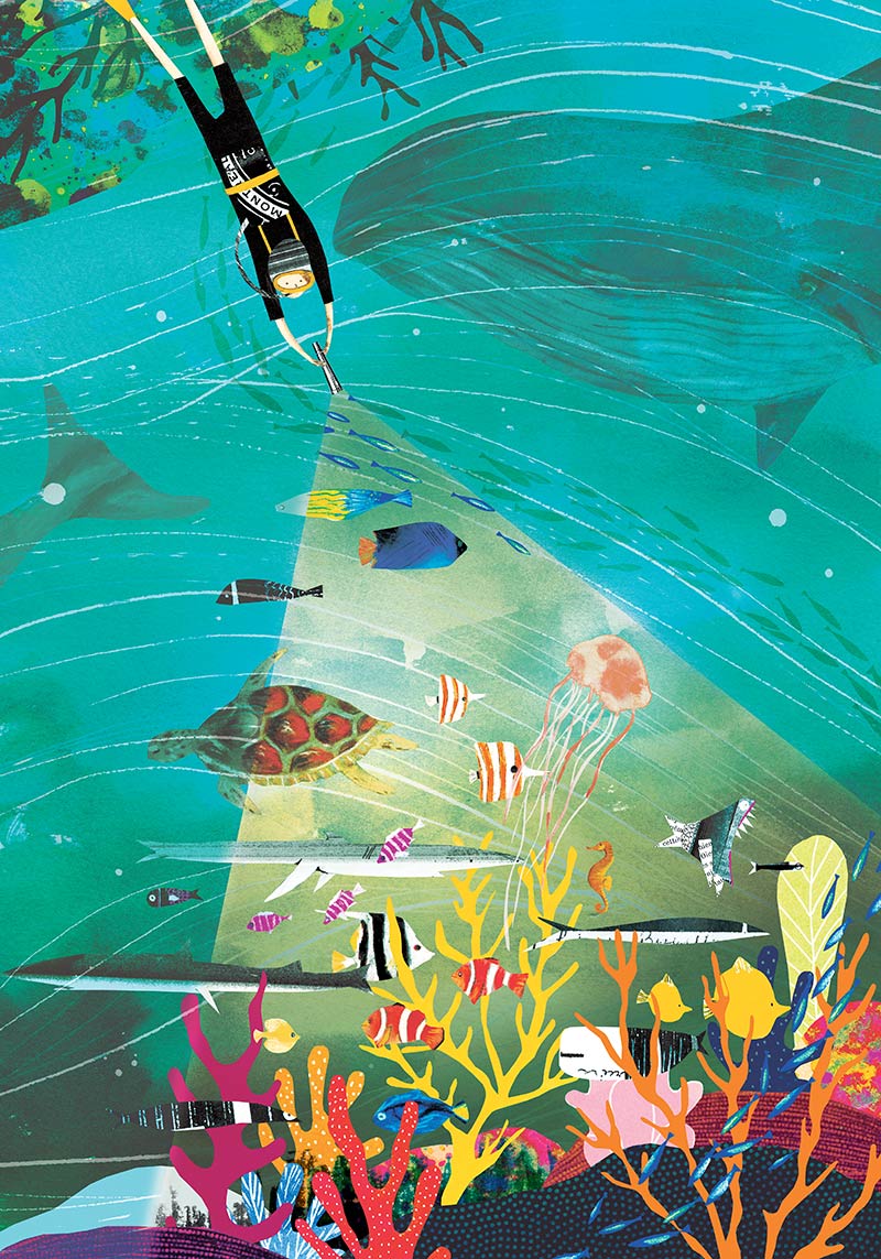 josee_bisaillon_portfolio_illustration_poster_biodiversity_1.jpg