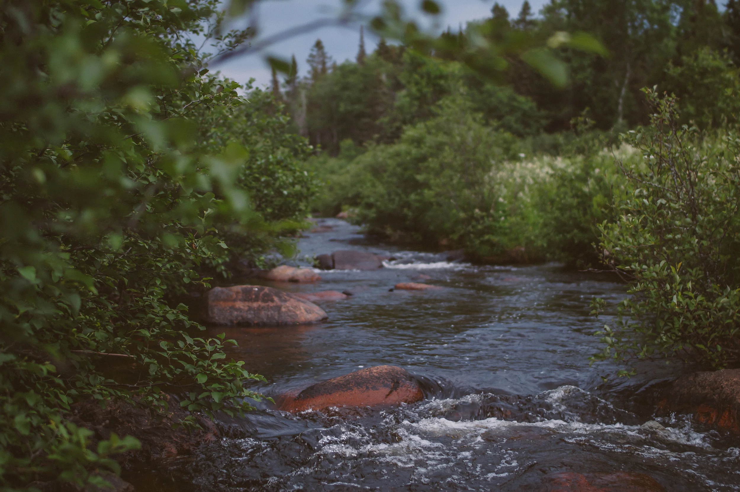 20120309_5500.jpg