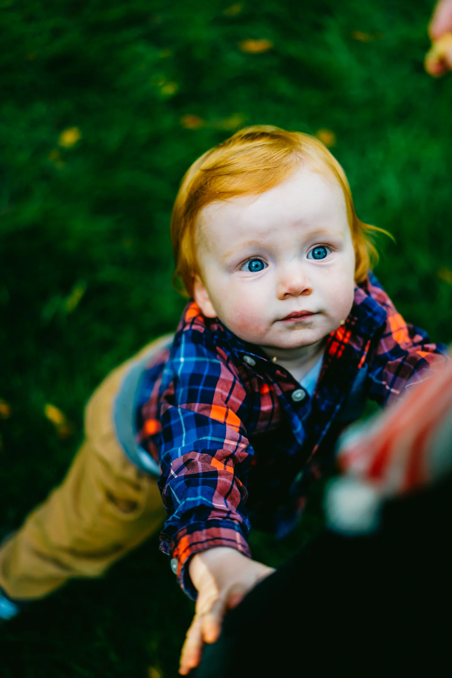 Shawn & Amanda 2015 - (135 of 161).jpg