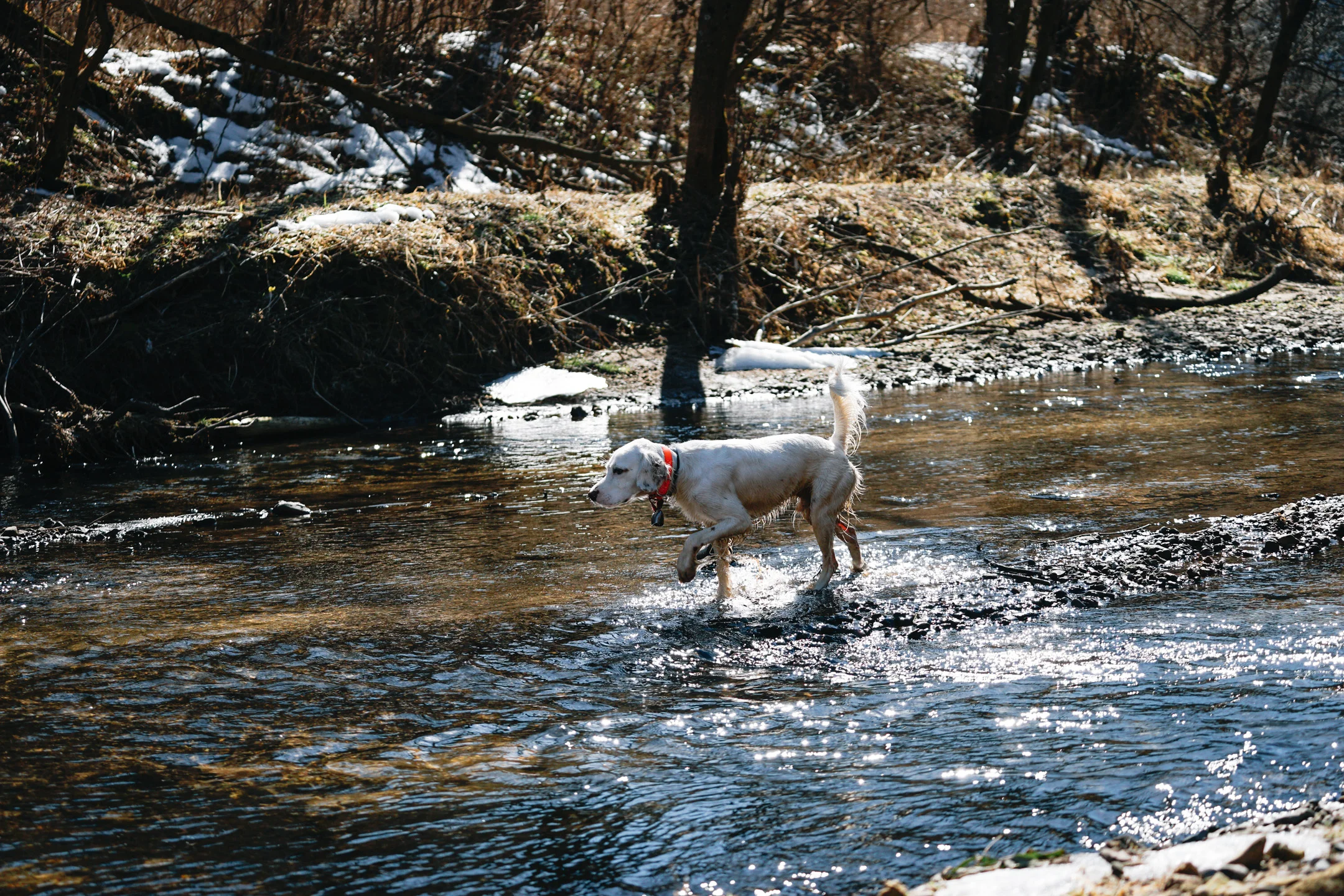_DSC1720.jpg