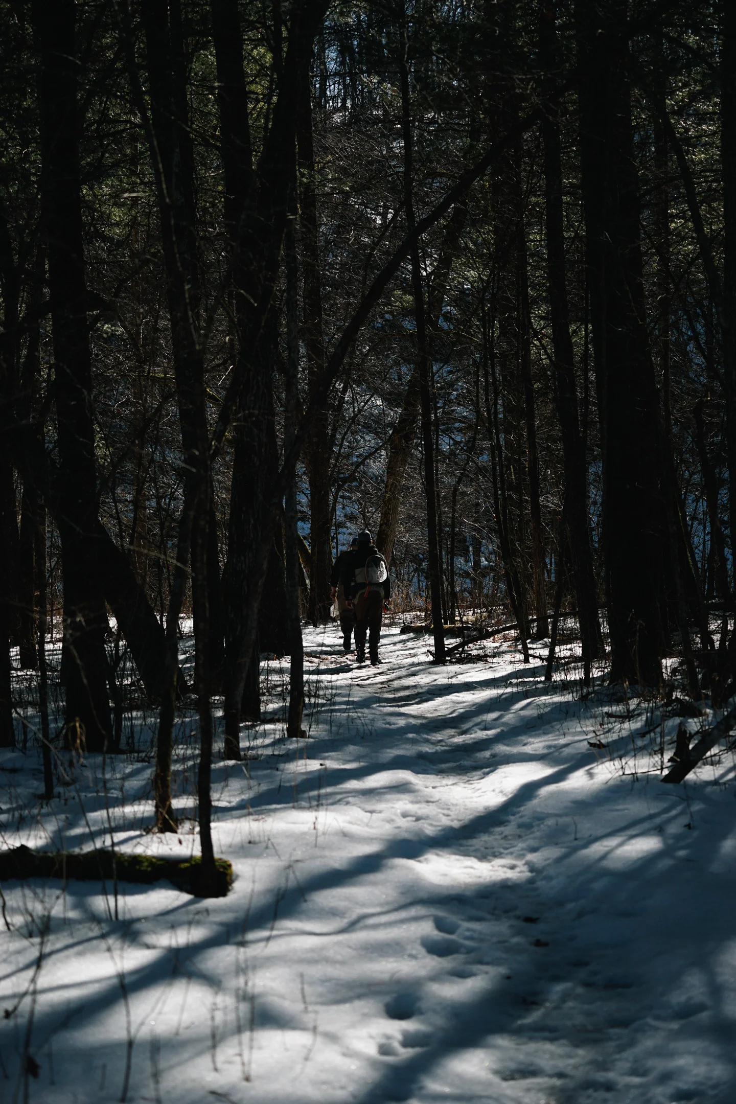 _DSC1766.jpg