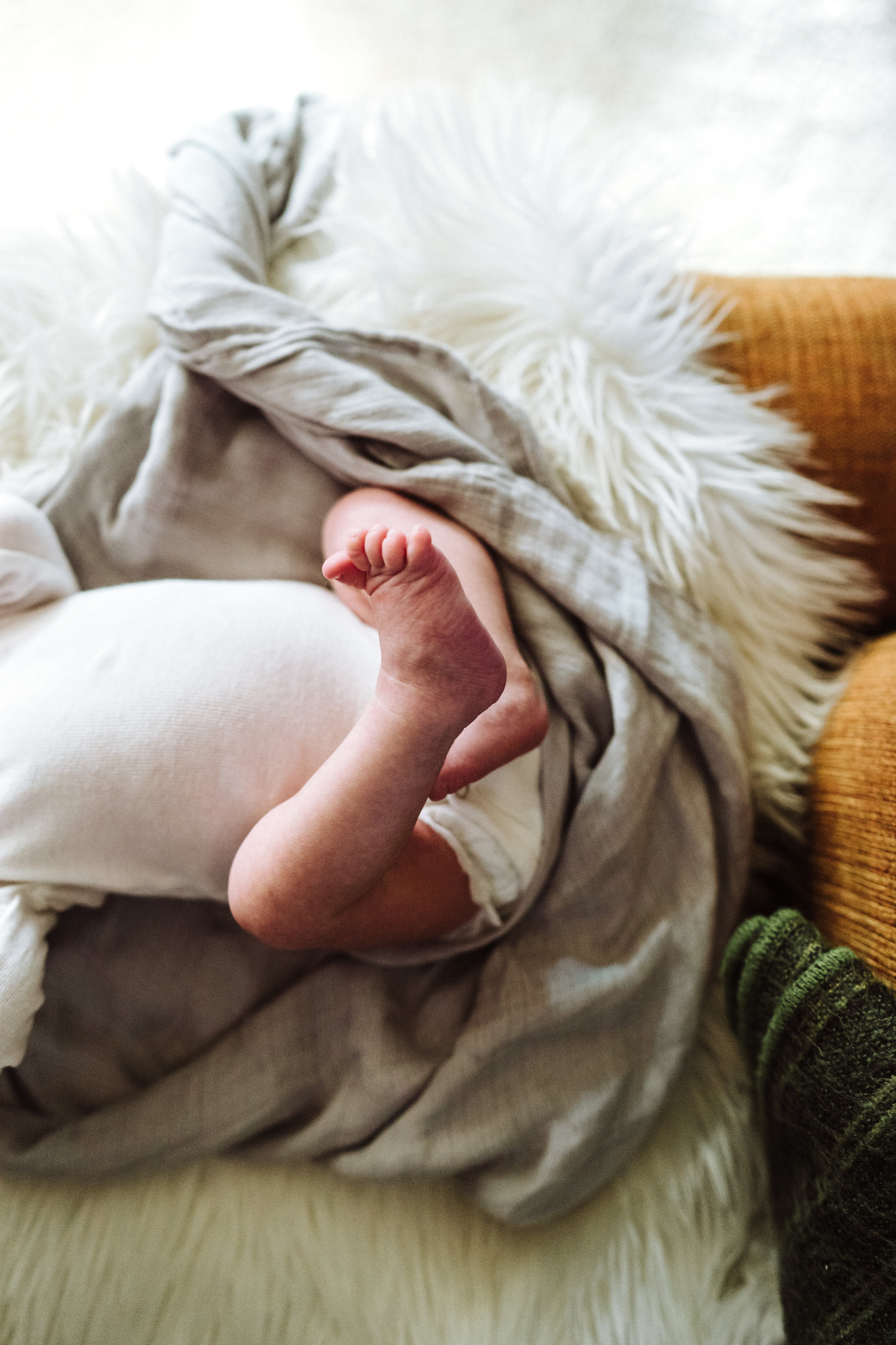 Minnesota newborn photography