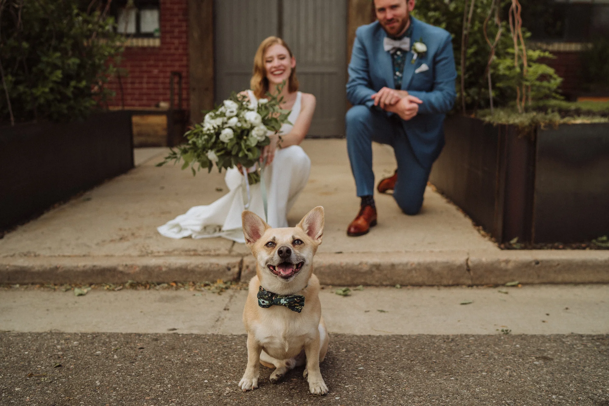 Danni Sean Preview 2019 - 0993880.jpg