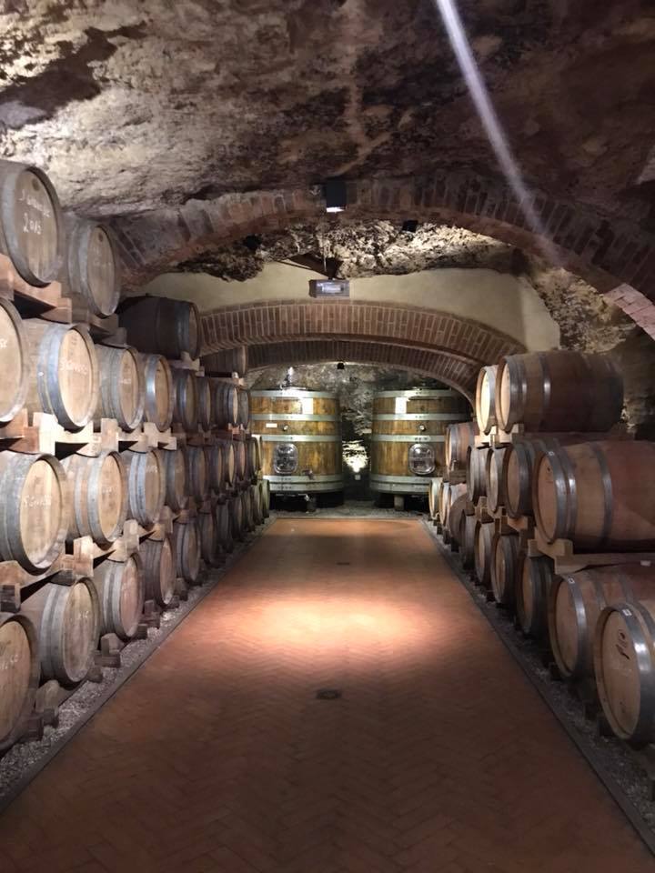 Sant Appiano wine cellar