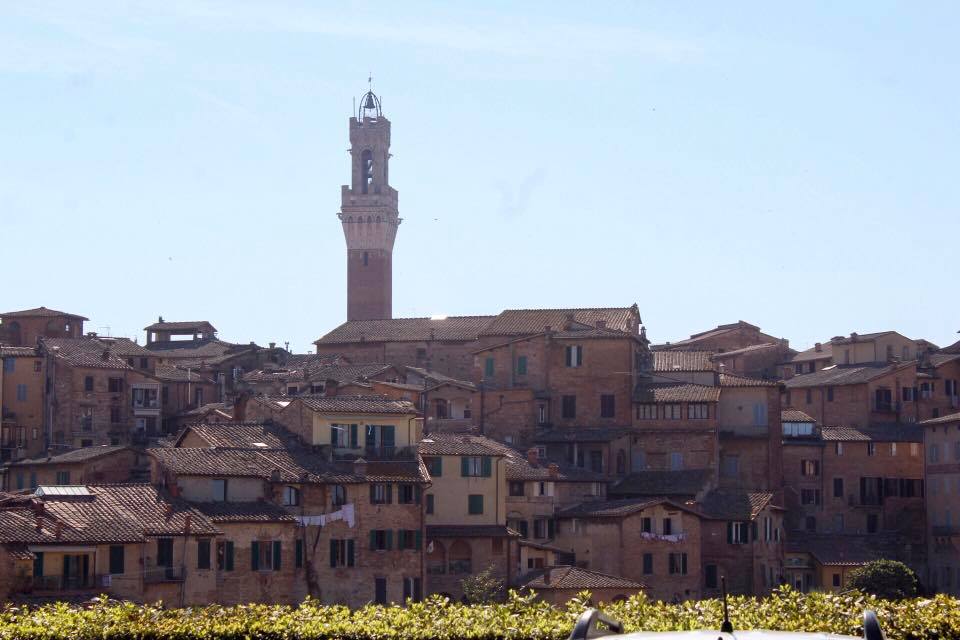 Hills of Siena
