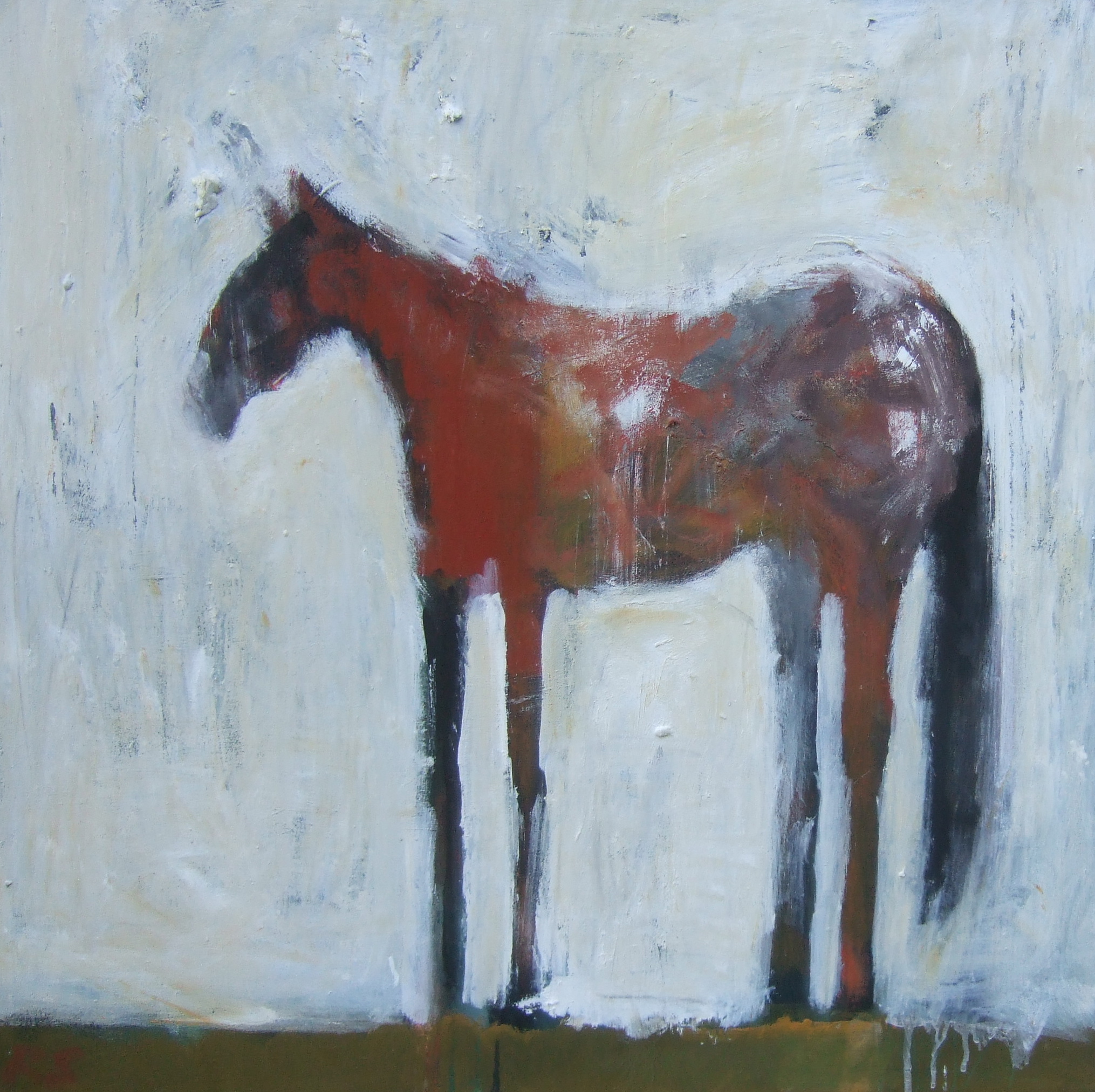 Horse with Red/White, 30 x 30 in, acrylic on canvas