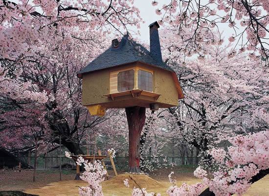  Chashitsu Tetsu built in 2005