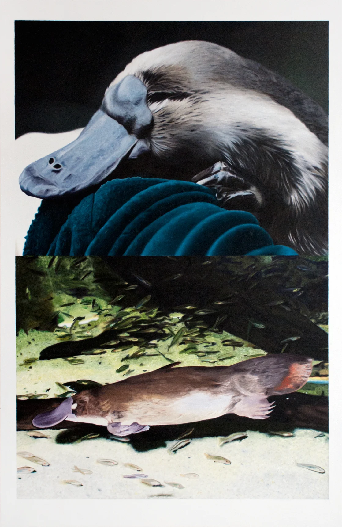 oil on canvas @ 40" x 60" painted for another artist, 2009