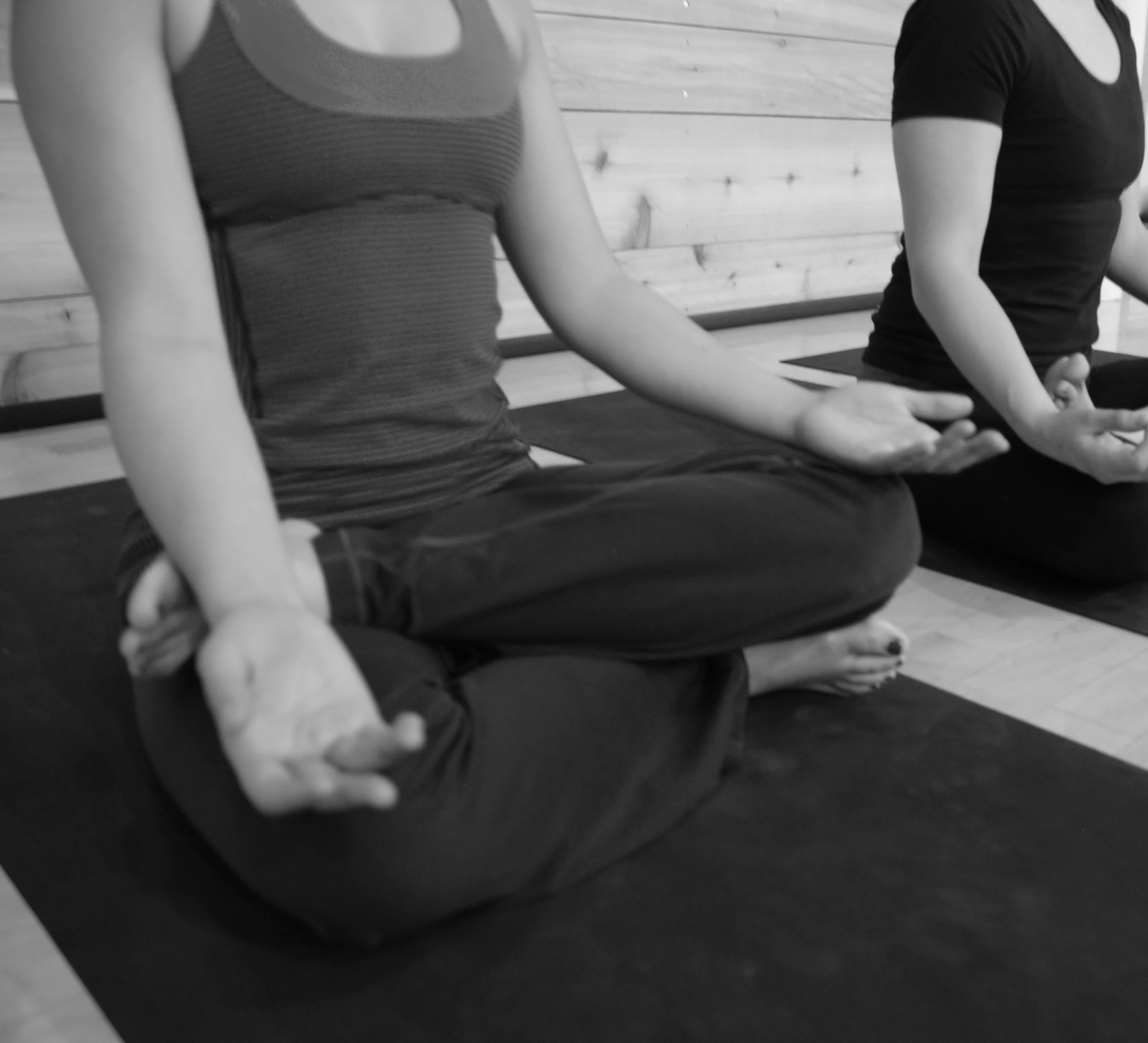 DSC_0219 - Version 2.JPG