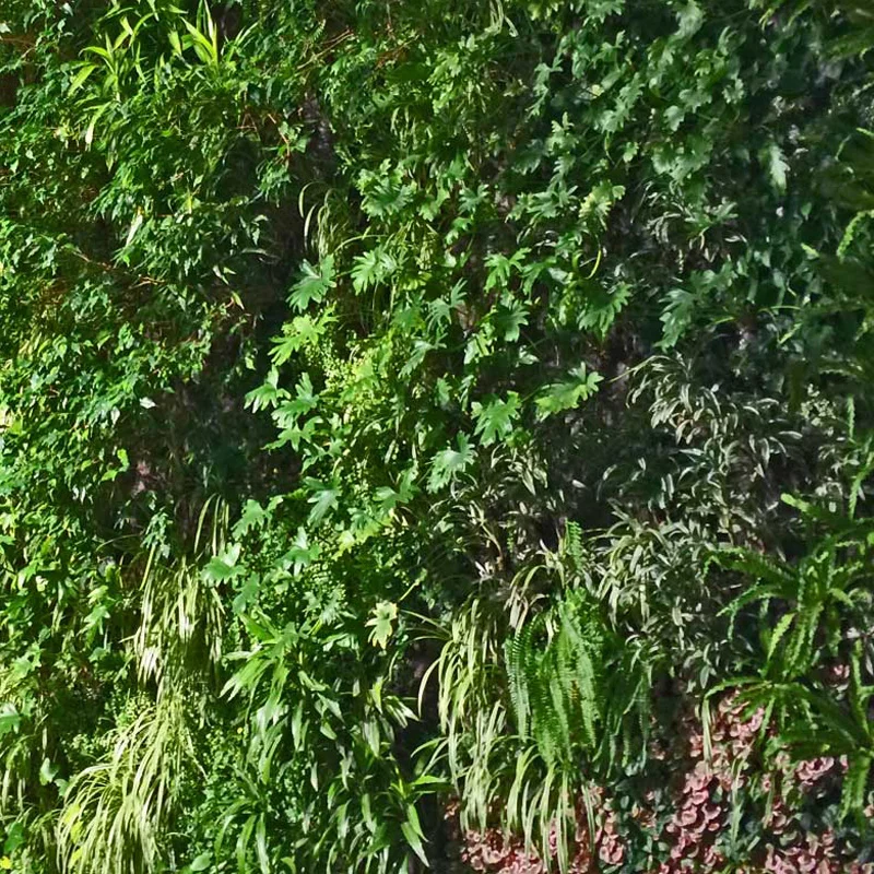 Garden Trend: Living Walls & Vertical Gardens