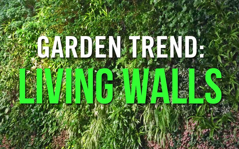 garden trend: living walls