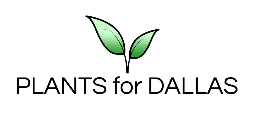 Plants for Dallas - Your Source for the Best Landscape Plant Information for the Dallas-Ft. Worth Metroplex