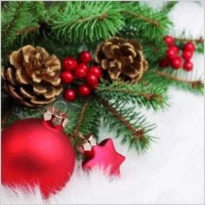 Bend Elks Lodge Holiday Bazaar, November 1, 2014