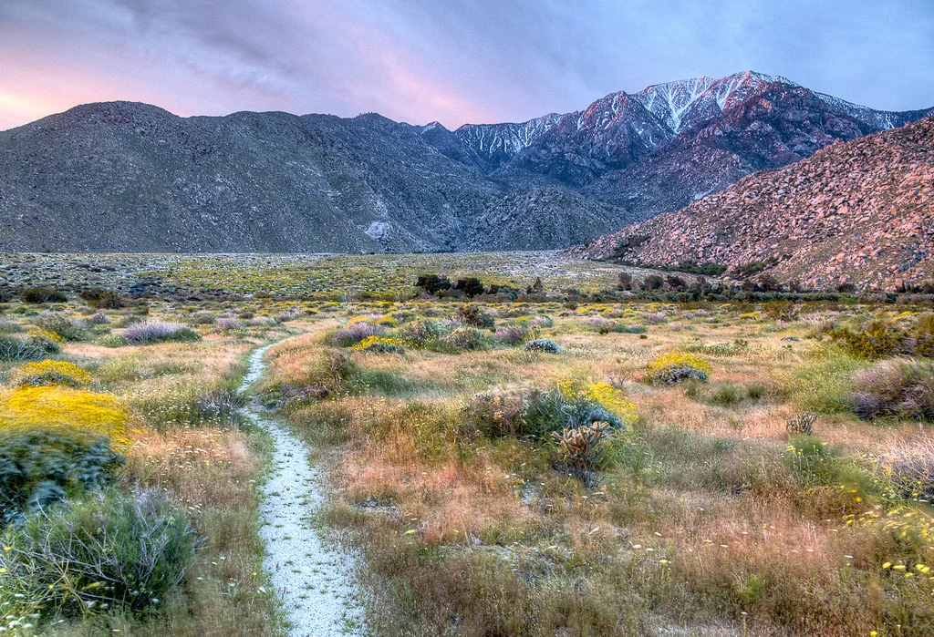 san jacinto path