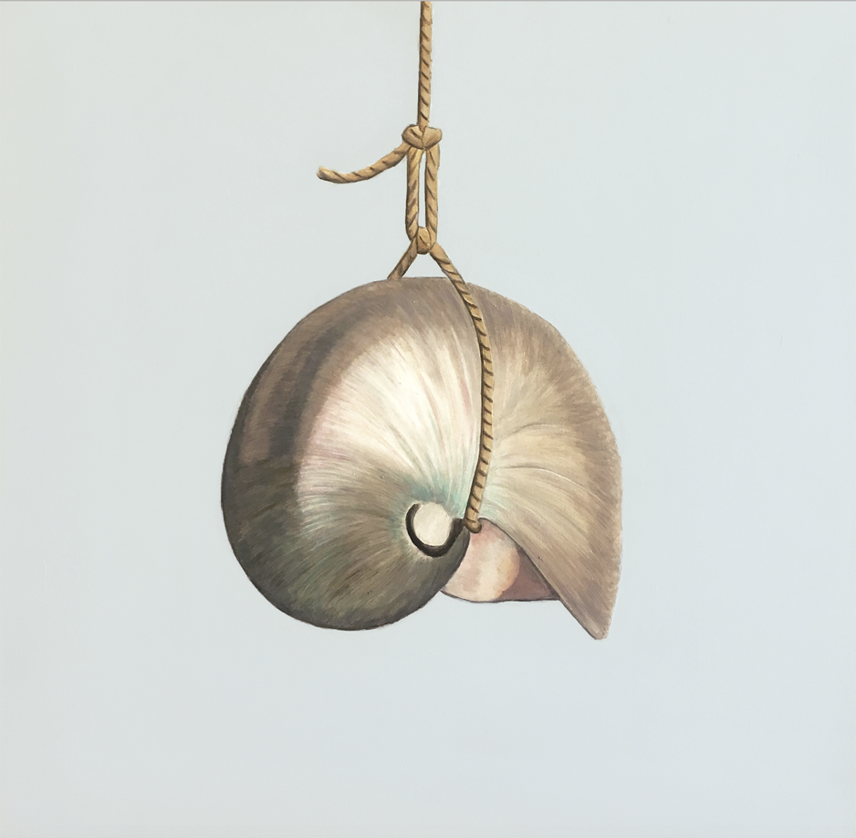Hanging Nautlius 