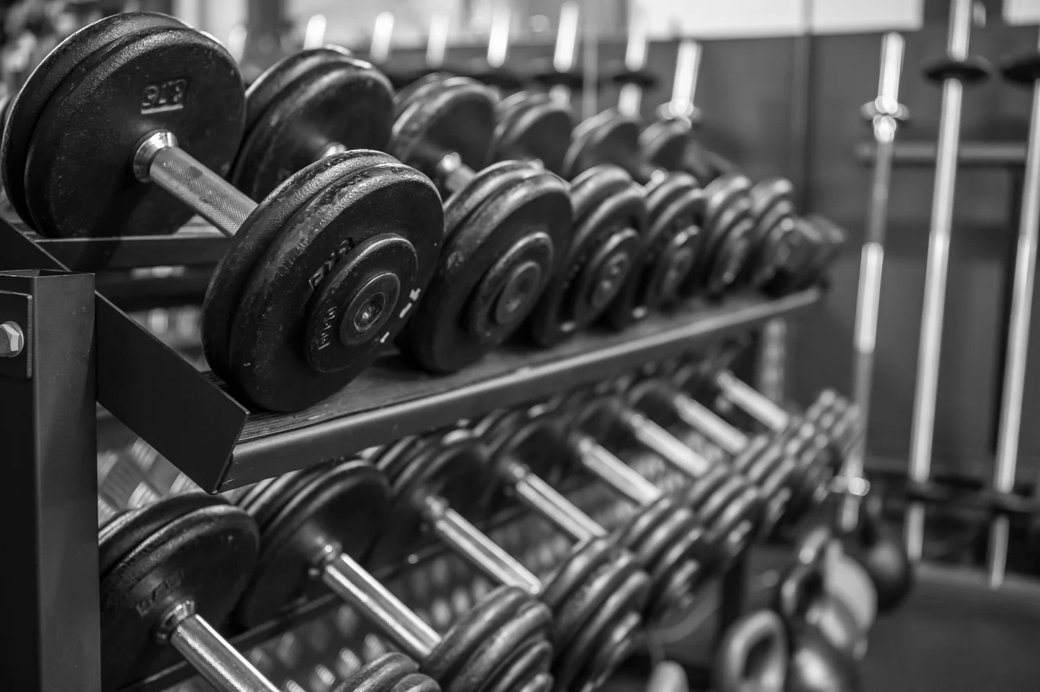 Mark Stevens Training -14.jpg