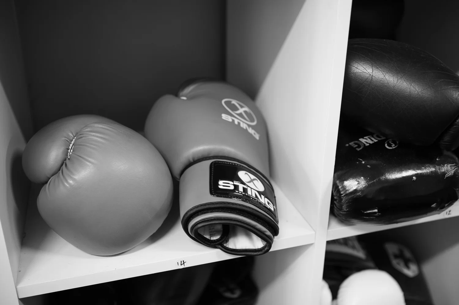 Mark Stevens Training -26.jpg