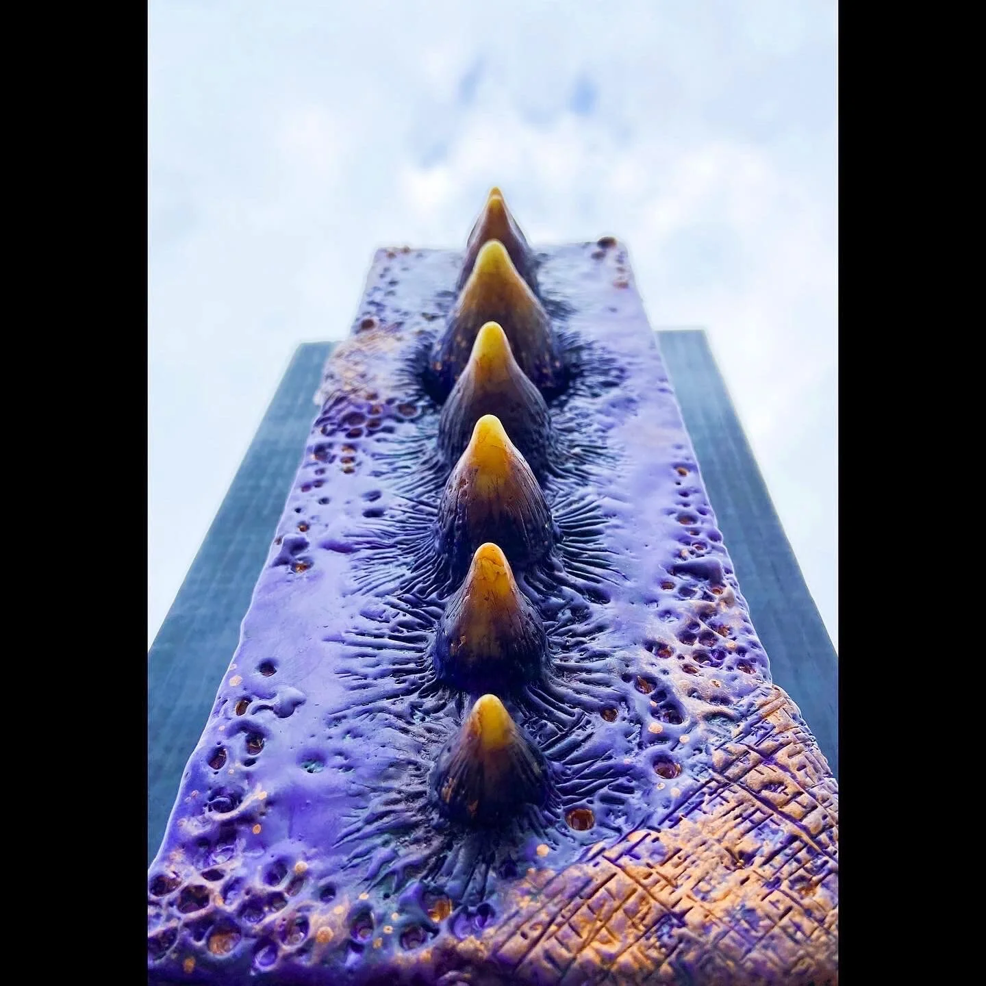 2A66D5F1-99D7-4EC6-893F-D95A8A592A5A.jpeg