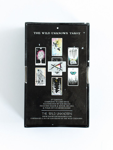 luna-and-birch-the-wild-unknown-tarot-deck-5.png