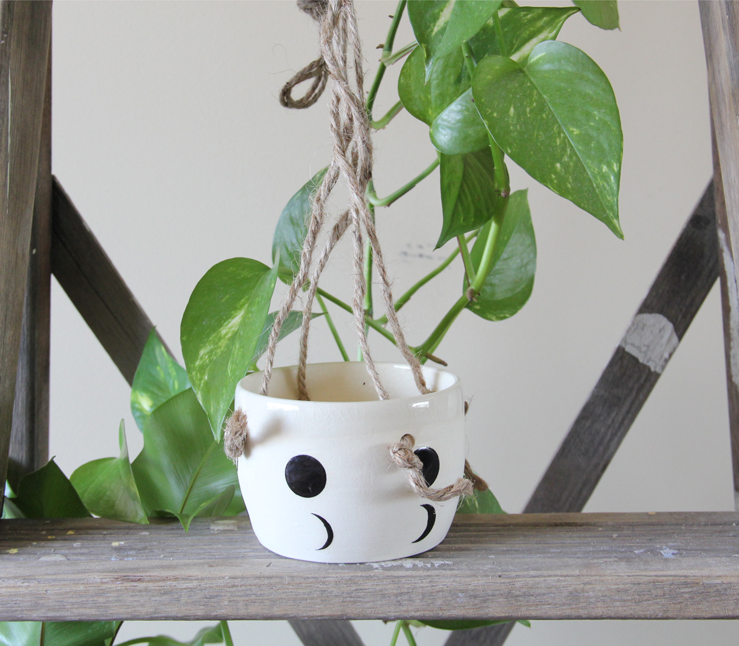 smallspells-moonphase-hangingplanter3.png