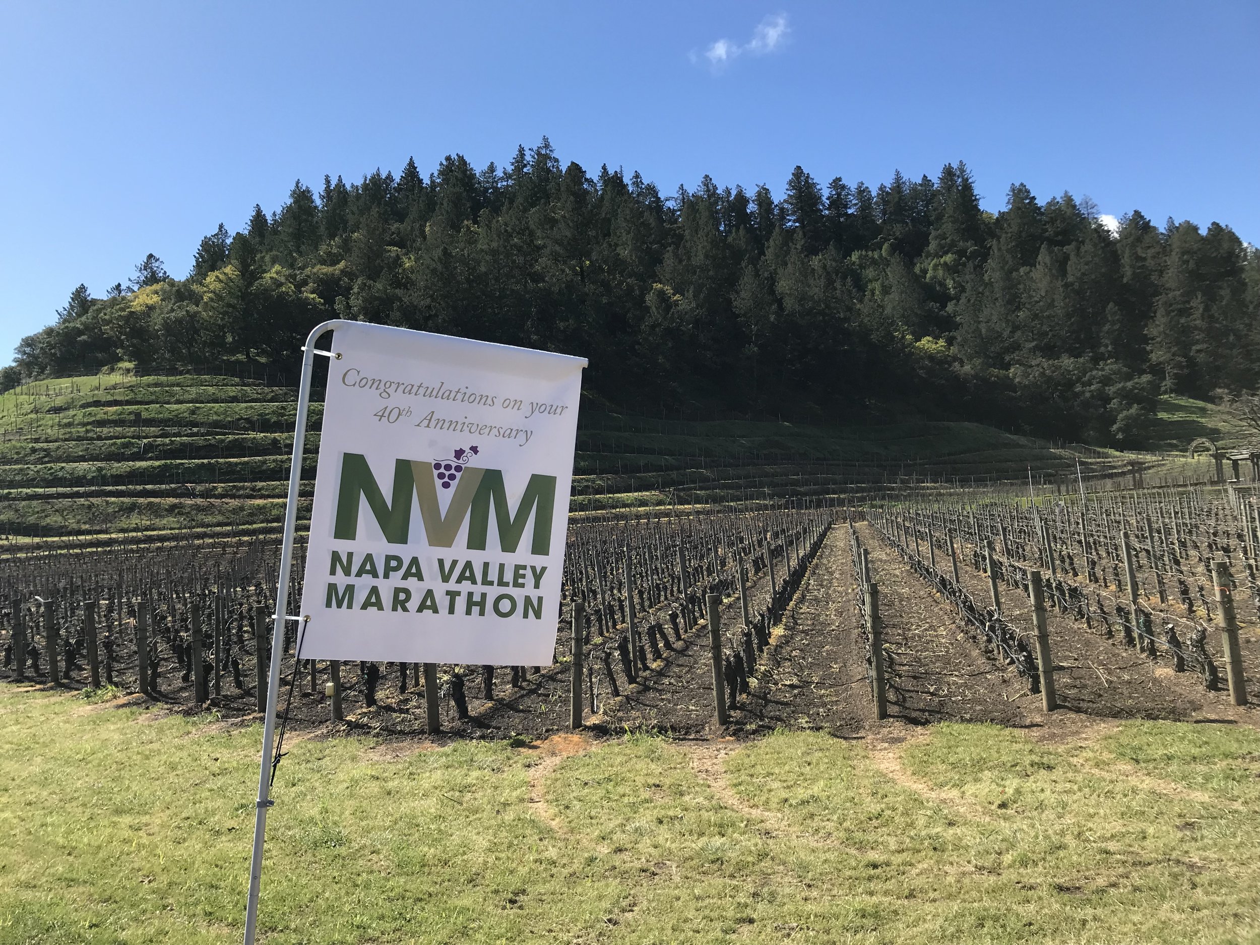 Embrace Running 231: Napa Valley Marathon