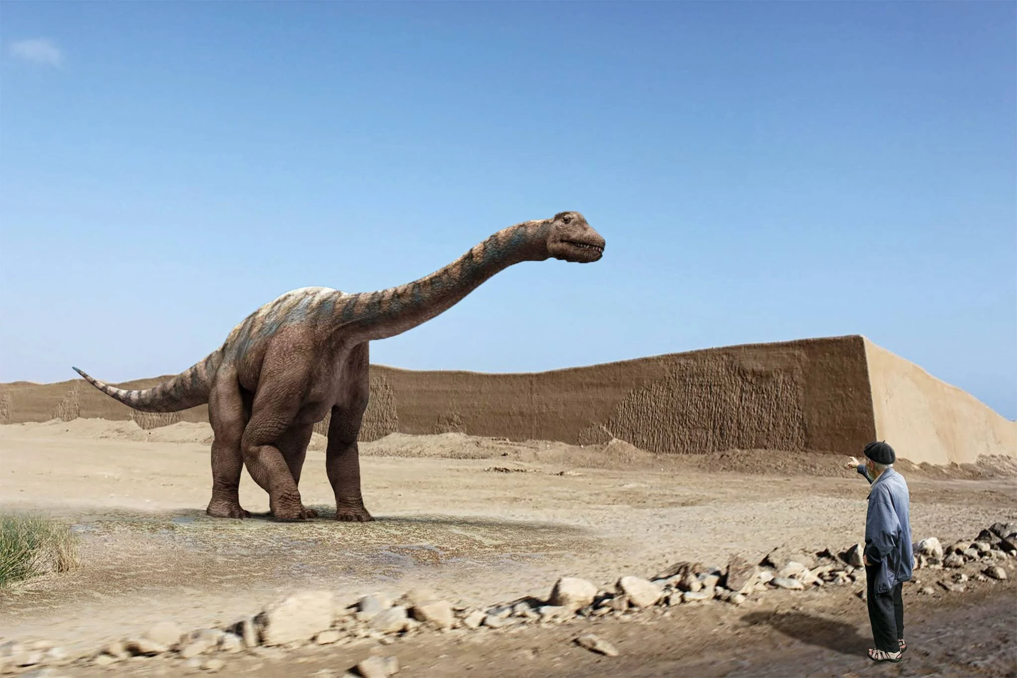 A DINOSAUR MEETS CHAN CHAN CITADEL