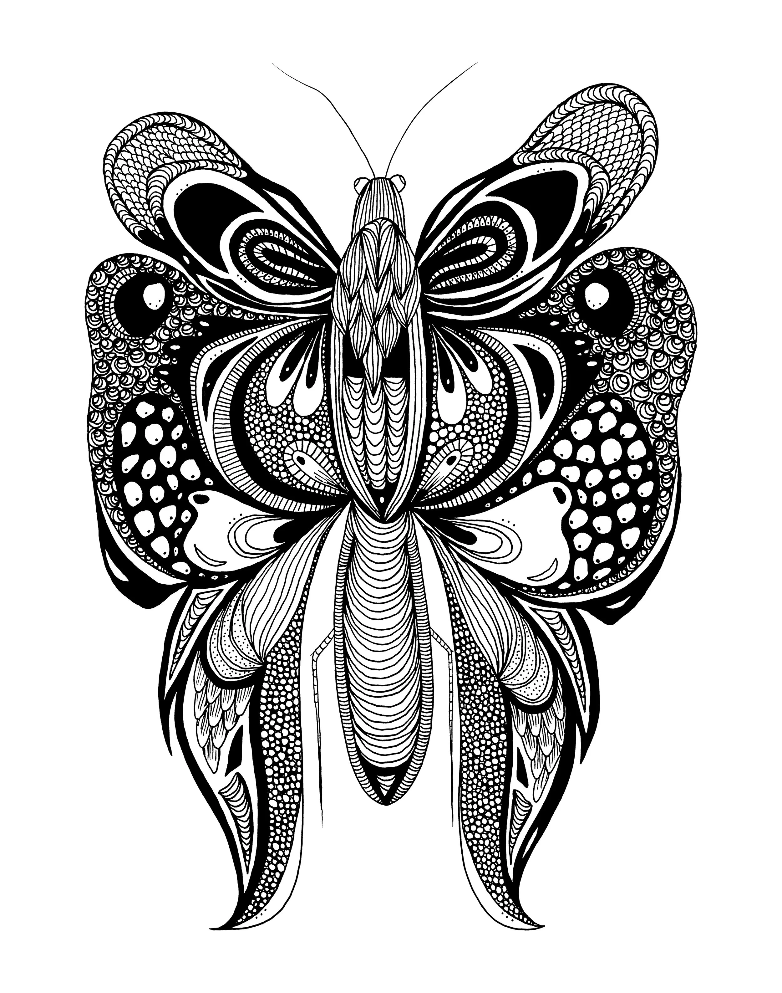MARIPOSA_2.jpg