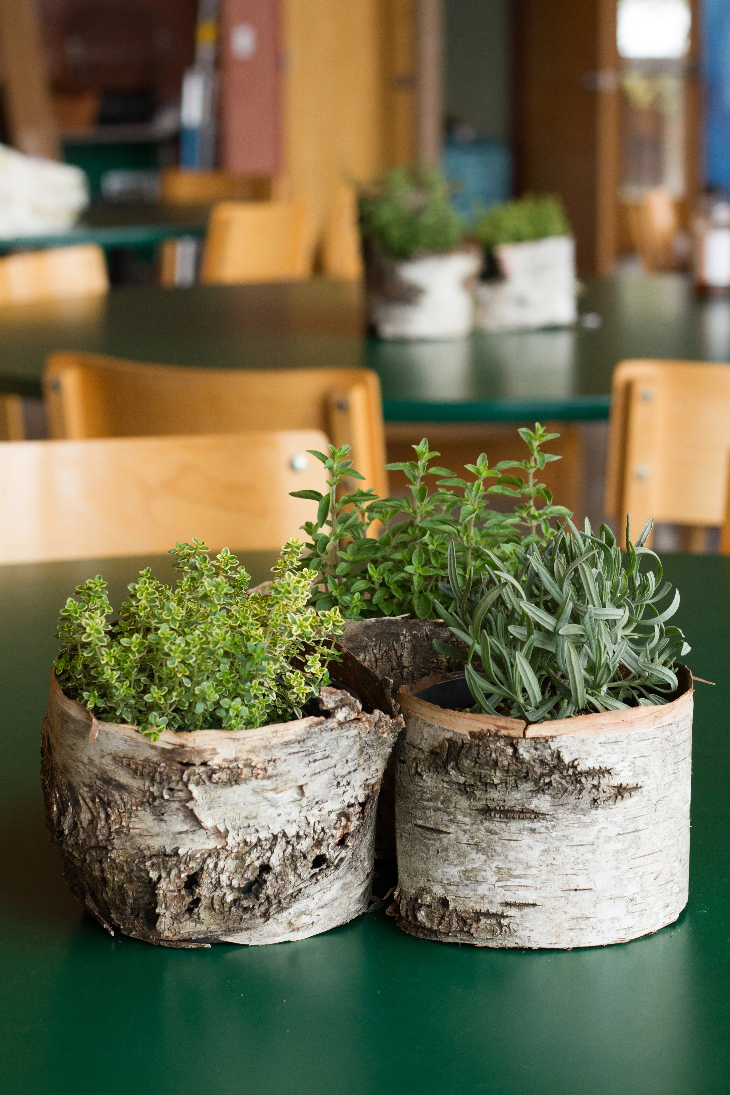 Amazing floral everywhere by Arthouse Design.