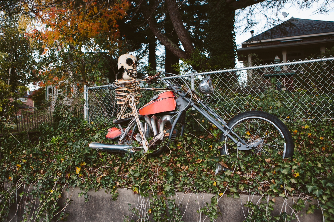 This bad boy doesn't need a helmet since he's already dead. 