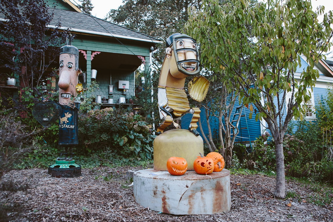 His pumpkins are still fresh from Halloween. I bet the trick-or-treating was intense here. 