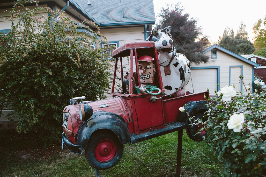 This one is awesome. The cow makes me laugh. 