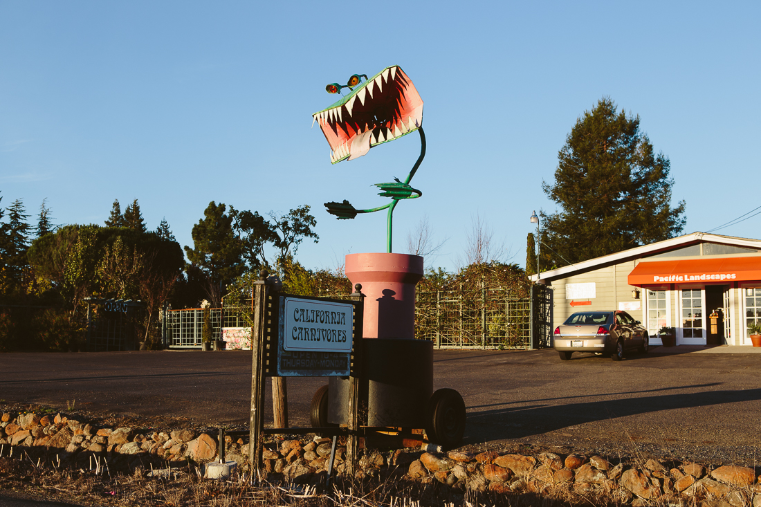 Little Shop of Horrors! 