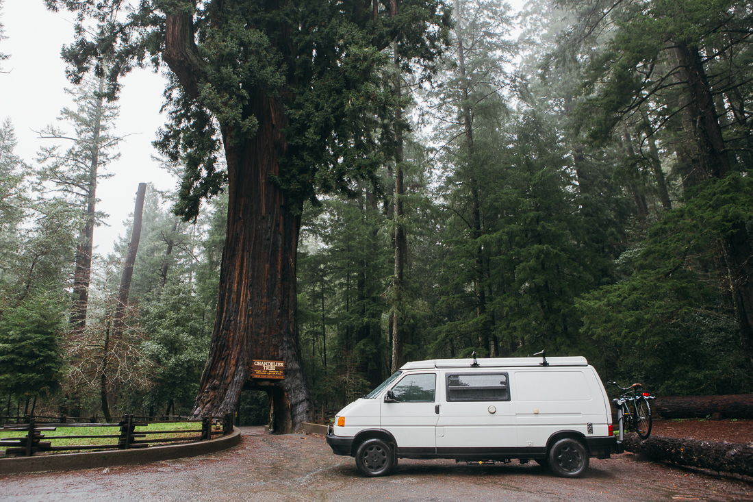 Day 26, mile 1590 . I drove all the way to the Chandelier Driver-Thru Tree, and found out that my lift-kit had me too tall. ...so we got this photo in the pouring rain, holding an umbrella over my camera, accepting defeat. 