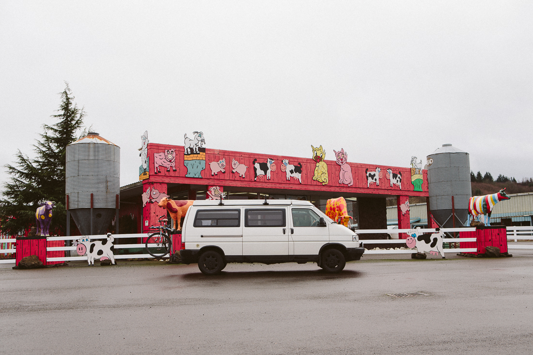 This place is called the Mattress Ranch, which I didn't know until driving up to it. I just wanted to get a shot of these silly painted cows, but decided to get a memory-foam pad for my camper. I should have made the purchase in Portland, but it was worth it. My sleeping game is next level now!