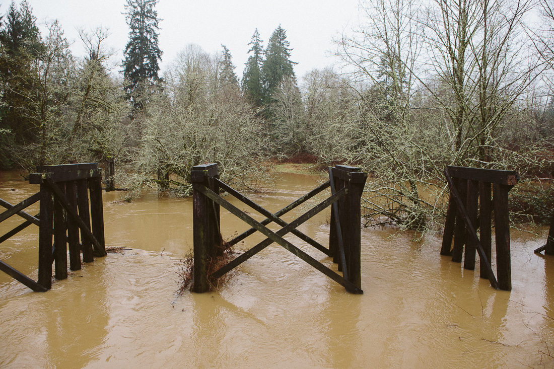 California wishes they had the water that was flowing through this creek. 