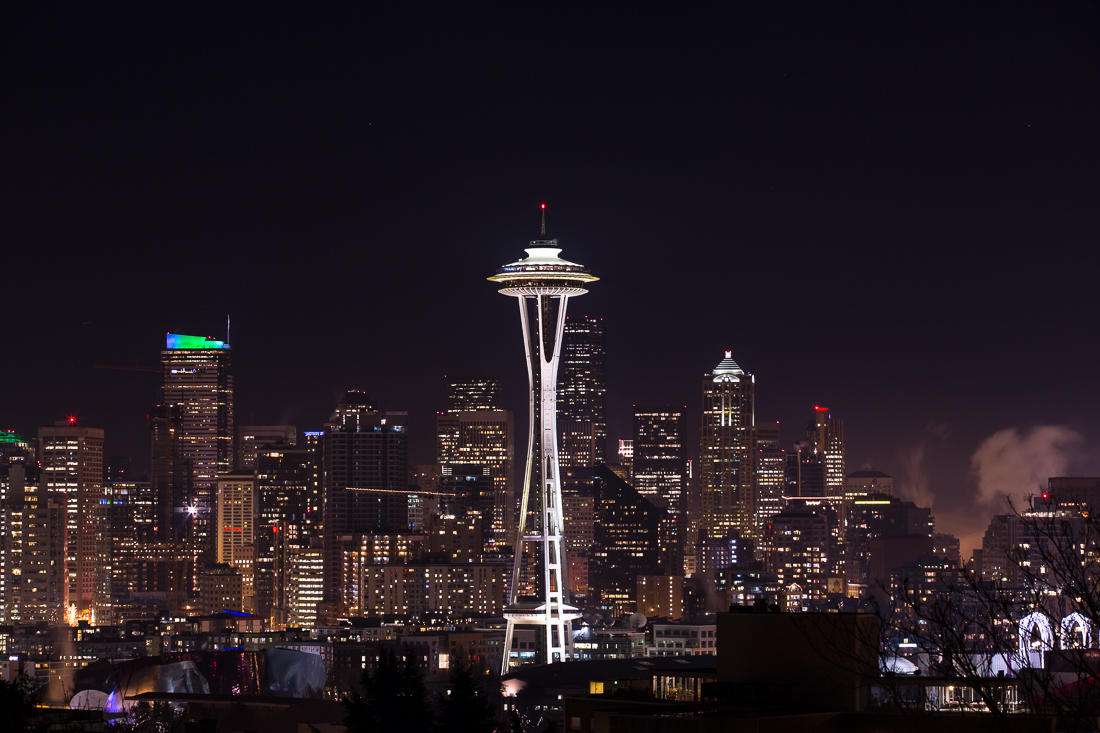 The best view of the Seattle cityscape. There were about 5 couples on dates here kissing each other, it's the popular make-out point. 
