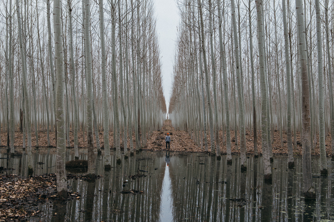 Day 44 / Mile 4444. I title this image- "SYMMETREE"