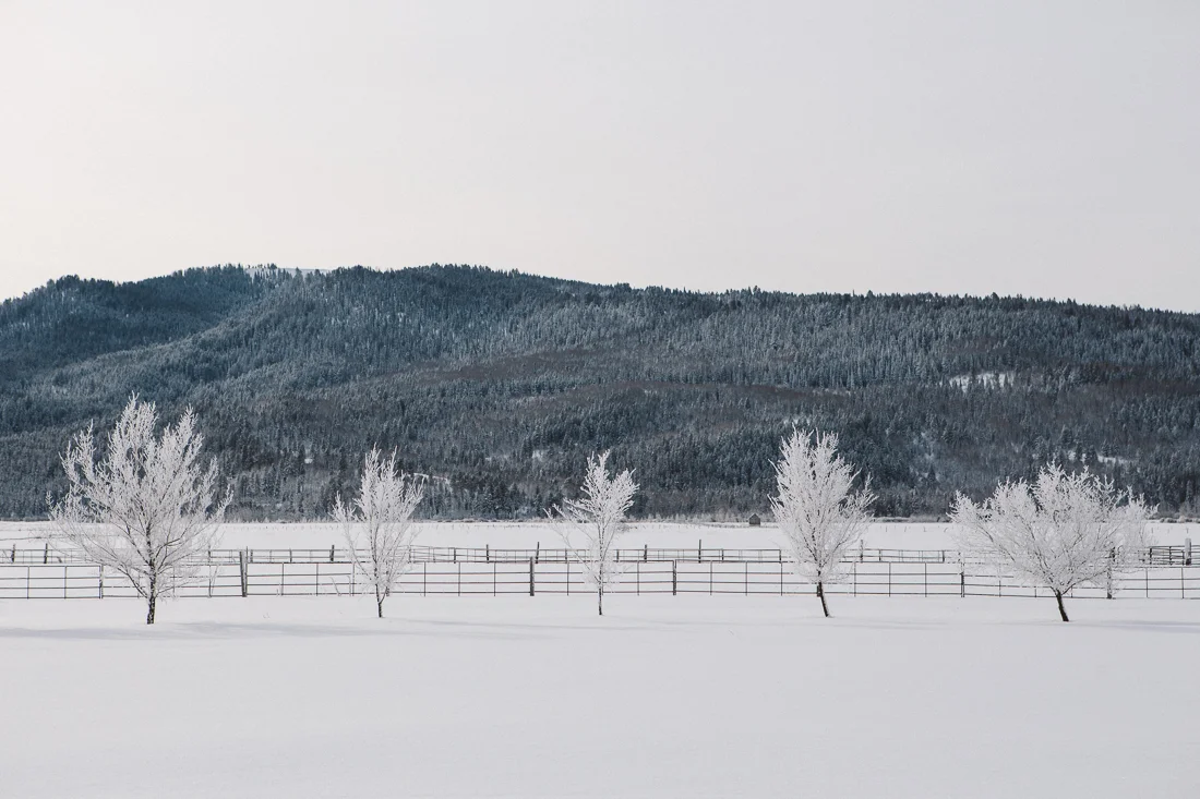 20150117-wyoming-004.jpg