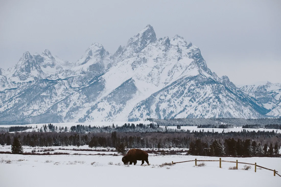 20150117-wyoming-020.jpg