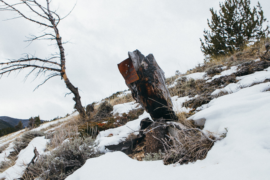 Up in Montana anything can be a target, so watch your back. 