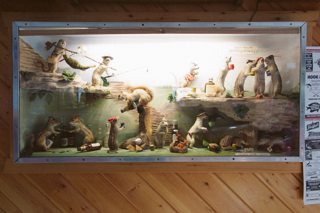 ...but my interest was the other super funny taxidermy they had along the walls. Check out this amazing but hilarious seen of these furry little dudes. ...oh Sweet Adeline!