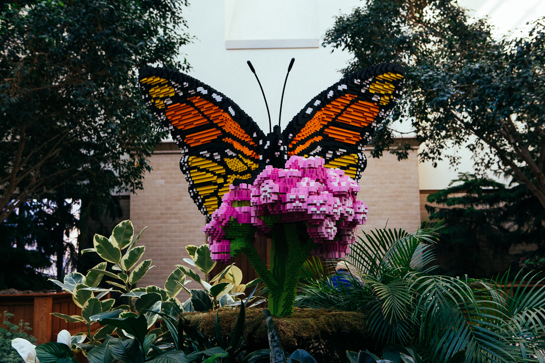 There was this beautiful indoor garden that I wanted to shoot in, but they wanted to charge me $125 to be able to use a tripod saying it's policy as I would be an inconvenience of getting in other people's way. Not sure how that really works out, they should be charging parents extra for their annoying kids running around too. Anyways, here's a butterfly made out of Legos. 
