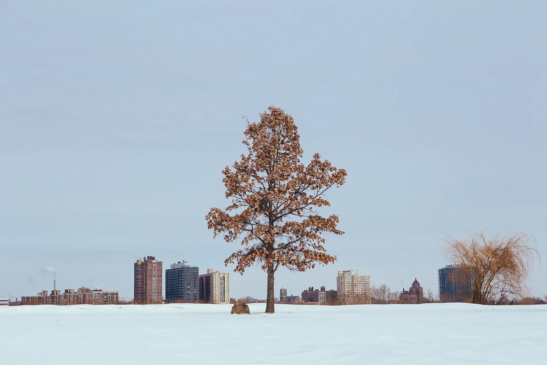 Day 82 / Mile 9530. Not all of Detroit is scary and depressing. Belle Isle was gorgeous with the fresh fallen snow. 