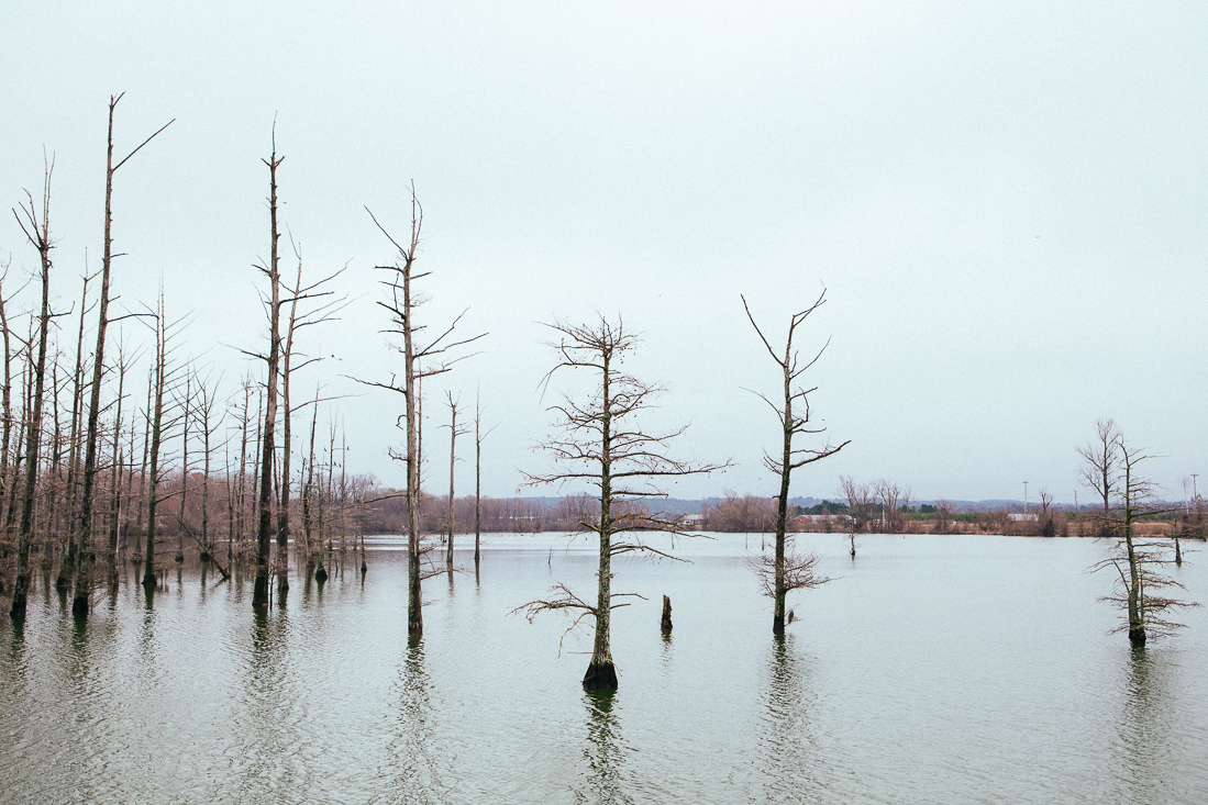 Even the trees have it rough, but they do what's needed to grow and prosper.