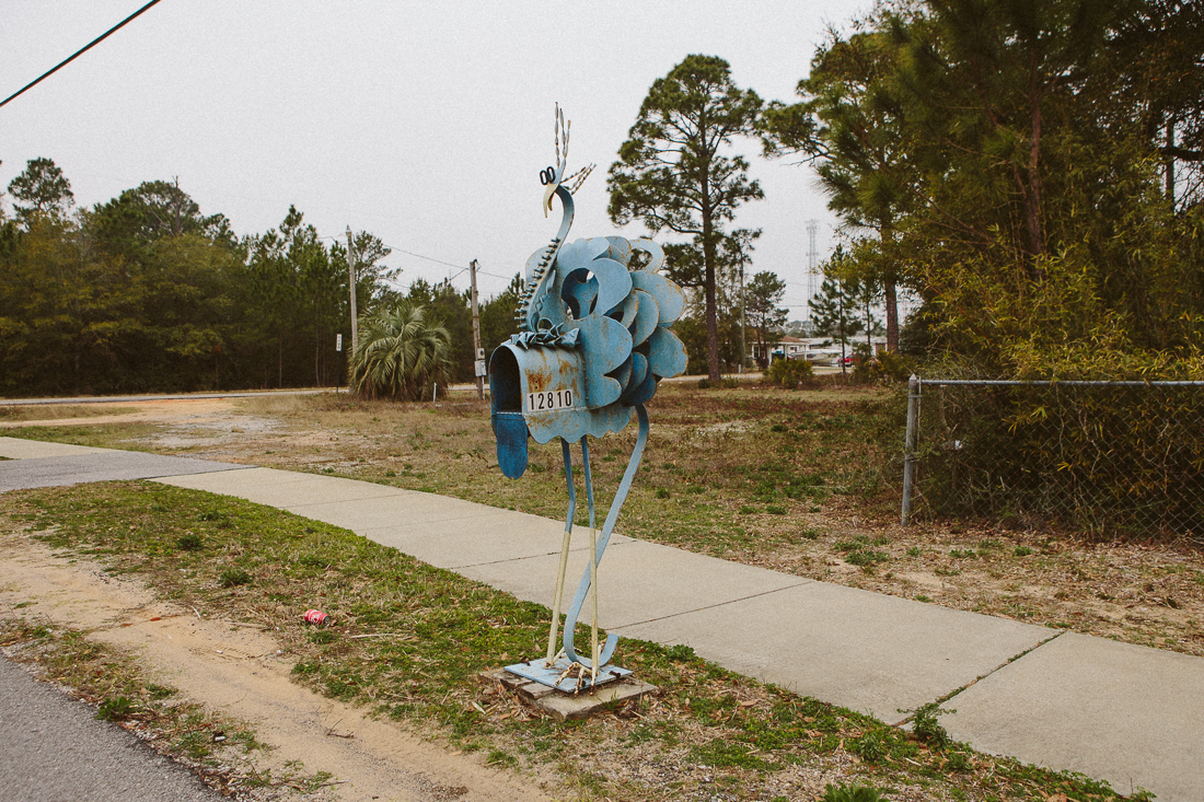 I love people's mailbox art. This has been one of the best I've seen so far.