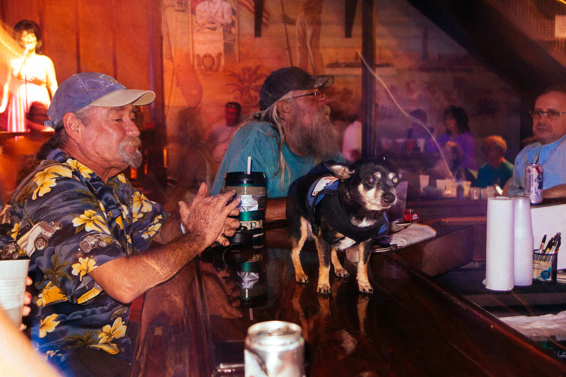This other spot was super dog friendly. 