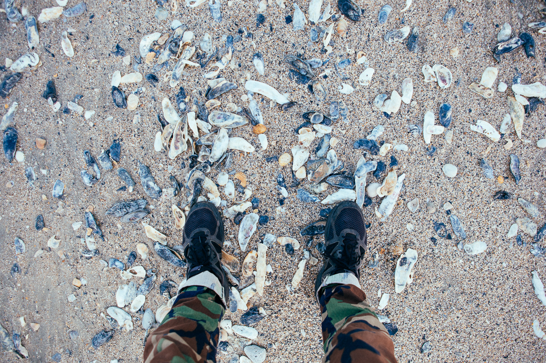 Over near Botany Bay Plantation is a shoreline with more shells than I've ever seen. 